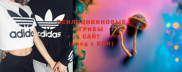 сатива Балахна