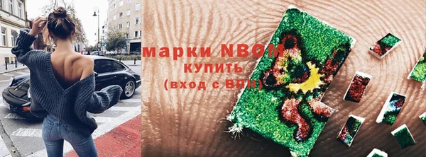 сатива Балахна