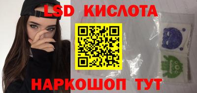 прущие грибы Краснознаменск