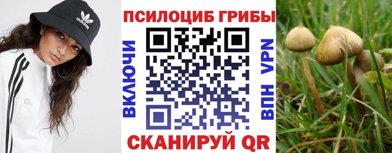 Псилоцибиновые грибы мухоморы  Вольск 