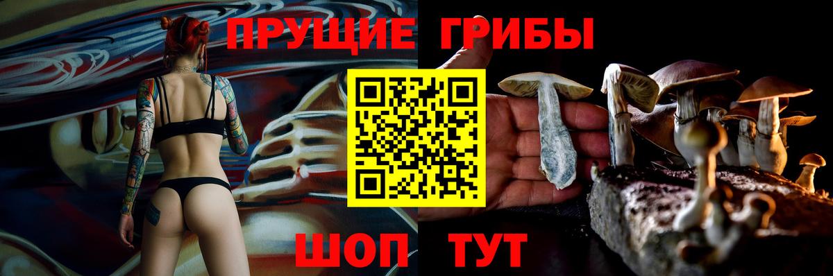 Галлюциногенные грибы прущие грибы  Галлюциногенные грибы Psilocybe  Вольск  Вход с VPN 